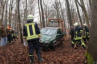 Bild: auto im Wald