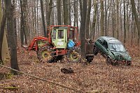 Bild: auto im Wald