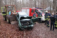 Bild: auto im Wald