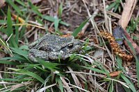 Natura 2000-Station erhält wertvolle Lebensräume Bild: Natura 2000-Station erhält wertvolle Lebensräume