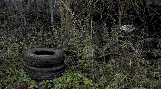 Wacker verliert gegen Fürstenwalde Bild: Wacker verliert gegen Fürstenwalde