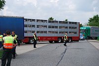 Wacker verliert gegen Fürstenwalde Bild: Wacker verliert gegen Fürstenwalde