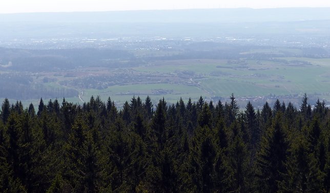 Wacker verliert gegen Fürstenwalde Bild: Wacker verliert gegen Fürstenwalde
