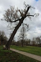 Sanierungskonzept für Schlosspark nötig? Bild: Sanierungskonzept für Schlosspark nötig?