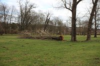 Sanierungskonzept für Schlosspark nötig? Bild: Sanierungskonzept für Schlosspark nötig?