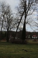 Sanierungskonzept für Schlosspark nötig? Bild: Sanierungskonzept für Schlosspark nötig?