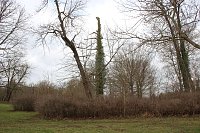 Sanierungskonzept für Schlosspark nötig? Bild: Sanierungskonzept für Schlosspark nötig?