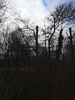 Schlosspark Bild: Schlosspark