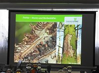 Die Wälder der Hain- und Windleite Bild: Die Wälder der Hain- und Windleite