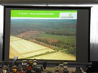 Die Wälder der Hain- und Windleite Bild: Die Wälder der Hain- und Windleite
