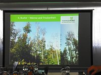 Die Wälder der Hain- und Windleite Bild: Die Wälder der Hain- und Windleite