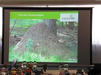 Die Wälder der Hain- und Windleite Bild: Die Wälder der Hain- und Windleite