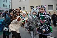 Rosenmontag in Sondershausen Bild: Rosenmontag in Sondershausen