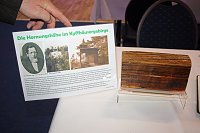 Ehrenamtliche in Bad Frankenhausen geehrt Bild: Ehrenamtliche in Bad Frankenhausen geehrt