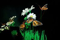 Lichterwelten Bild: Lichterwelten