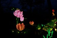 Lichterwelten Bild: Lichterwelten