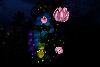 Lichterwelten Bild: Lichterwelten