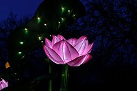 Lichterwelten Bild: Lichterwelten