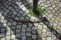 Bild: Trinitatis-Glocke erklang zum letzten Mal