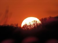 Sonnenuntergang Bild: Sonnenuntergang