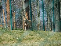 Besuch auf dem Possen Bild: Besuch auf dem Possen