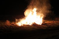 Feuer Bild: Feuer
