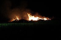 Feuer Bild: Feuer