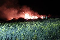 Feuer Bild: Feuer