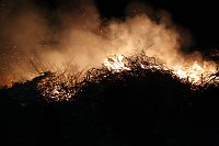 Feuer Bild: Feuer