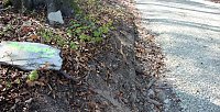 Sanierter Forstweg übergeben Bild: Sanierter Forstweg übergeben