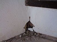 Bild: Renovierungsarbeiten an der Schutzh&uuml;tte Hornungsh&ouml;he
