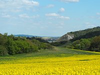 Wandern am Stausee Kelbra Bild: Wandern am Stausee Kelbra