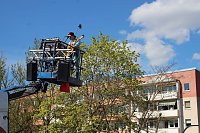 Hebebühnenkonzert im Borntal Bild: Hebebühnenkonzert im Borntal