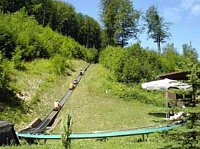 Affenwald öffnet wieder Bild: Affenwald öffnet wieder