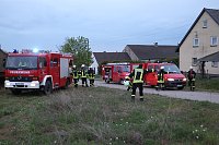 Rauch in Schweinestall Bild: Rauch in Schweinestall