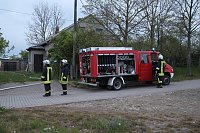 Rauch in Schweinestall Bild: Rauch in Schweinestall