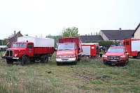 Rauch in Schweinestall Bild: Rauch in Schweinestall