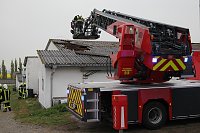 Rauch in Schweinestall Bild: Rauch in Schweinestall