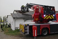 Rauch in Schweinestall Bild: Rauch in Schweinestall