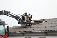 Rauch in Schweinestall Bild: Rauch in Schweinestall