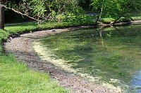Den Parkteichen von Sondershausen fehlt (e) das Wasser Bild: Den Parkteichen von Sondershausen fehlt (e) das Wasser
