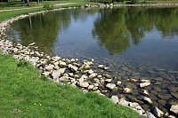 Den Parkteichen von Sondershausen fehlt (e) das Wasser Bild: Den Parkteichen von Sondershausen fehlt (e) das Wasser