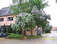 Haus Jona e.V. sucht Mitstreiter Bild: Haus Jona e.V. sucht Mitstreiter