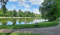 Bild: Schlossteich wird bef&uuml;llt