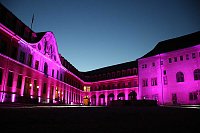 Erstmalig Schlossleuchten 2020 mit Fragezeichen Bild: Erstmalig Schlossleuchten 2020 mit Fragezeichen