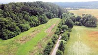 Bild: Peter Blei mitten im Mohn