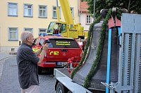 Bild: Zwei neue Bronzeglocken werden eingebaut