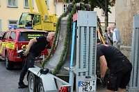 Bild: Zwei neue Bronzeglocken werden eingebaut
