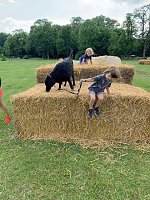 Bild: Strohspielplatz mit Wolf und Hase
