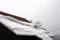 Bild: Im Harz